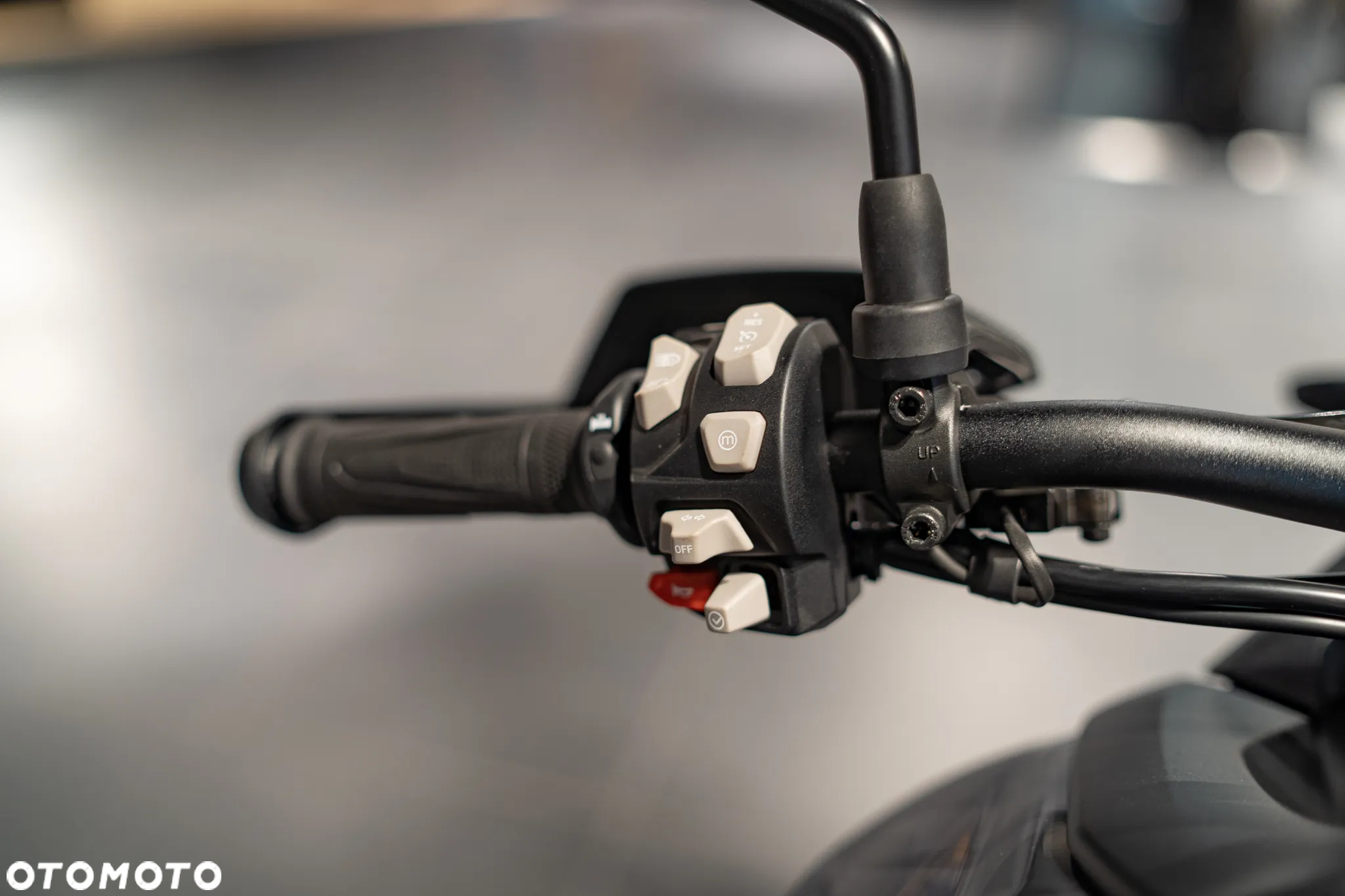 Triumph Tiger - 19