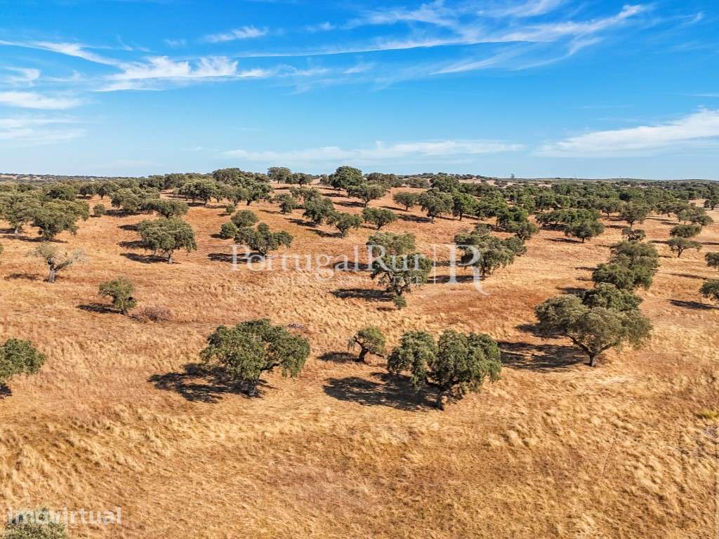 Herdade 80 hectares confinante com a Barragem - Grande imagem: 3/9