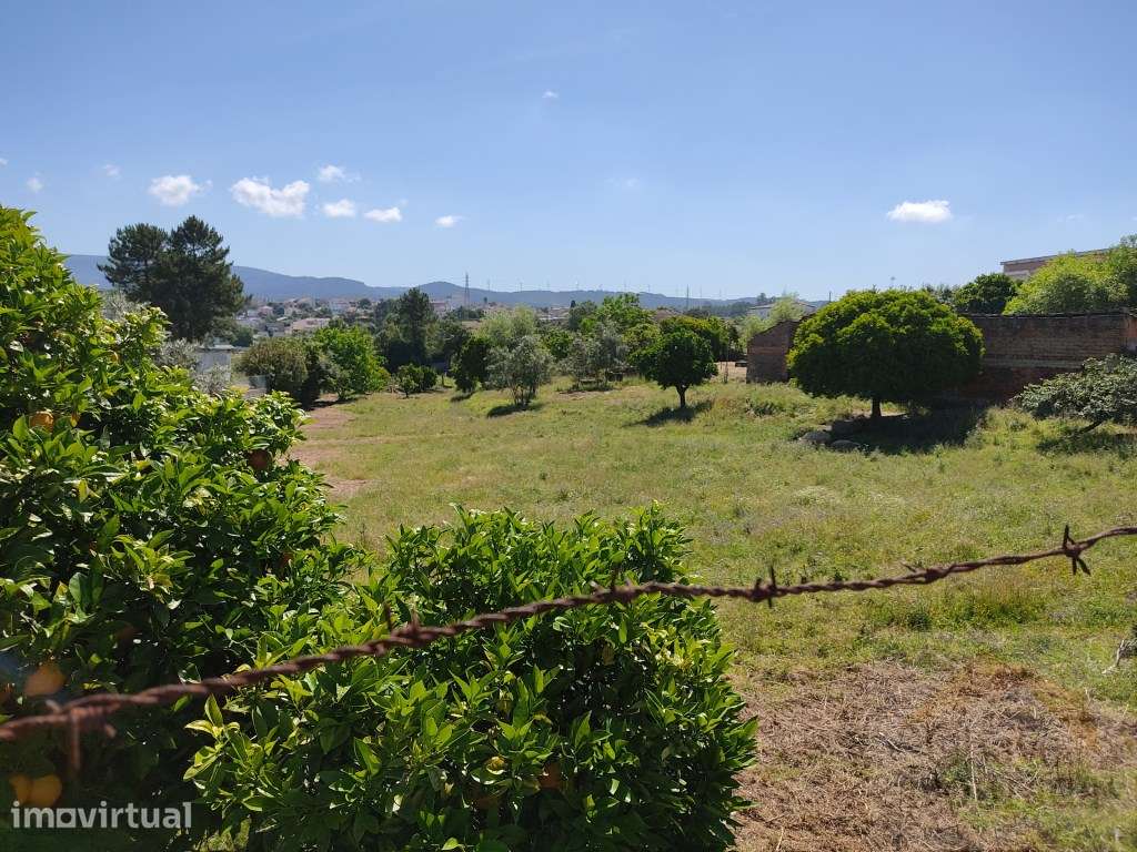 Terreno para urbanizar no centro da Pampilhosa. - Grande imagem: 2/5