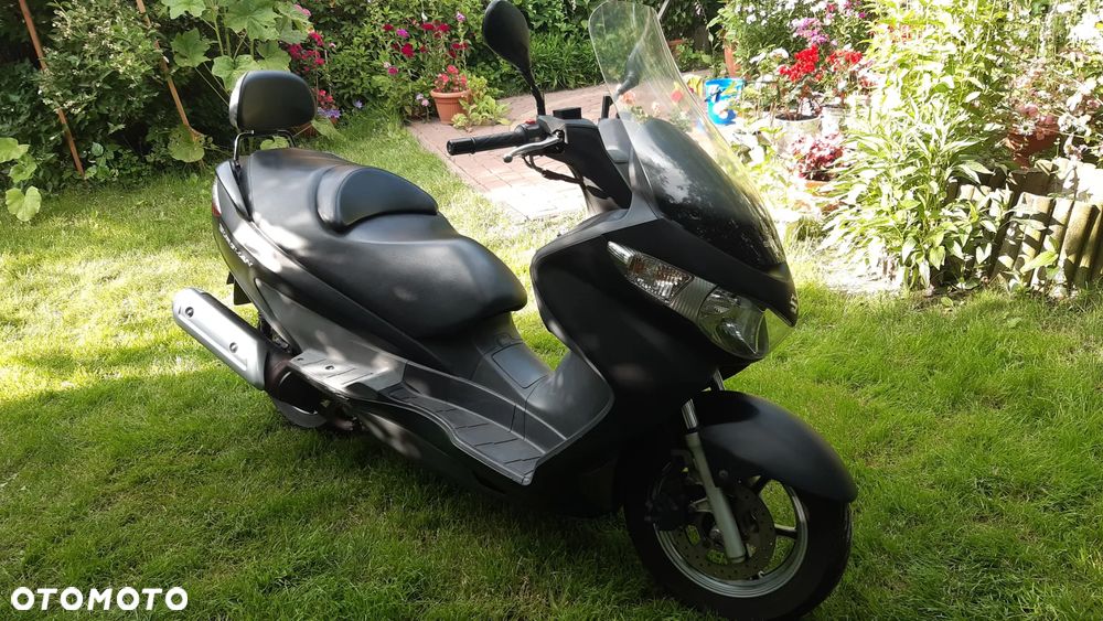 Suzuki Burgman - 1