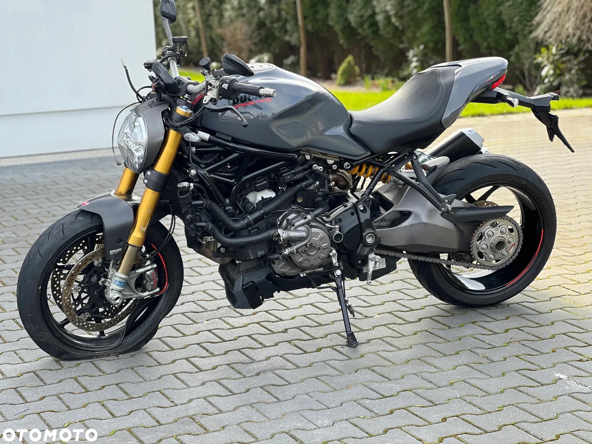Ducati Monster - 3