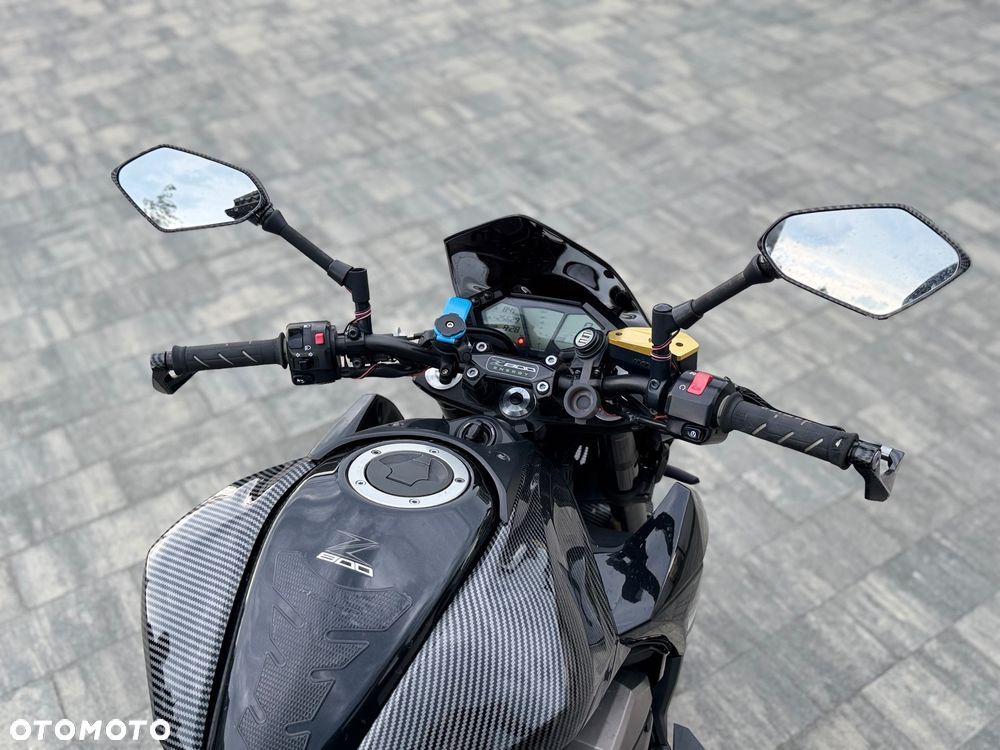 Kawasaki Z - 10