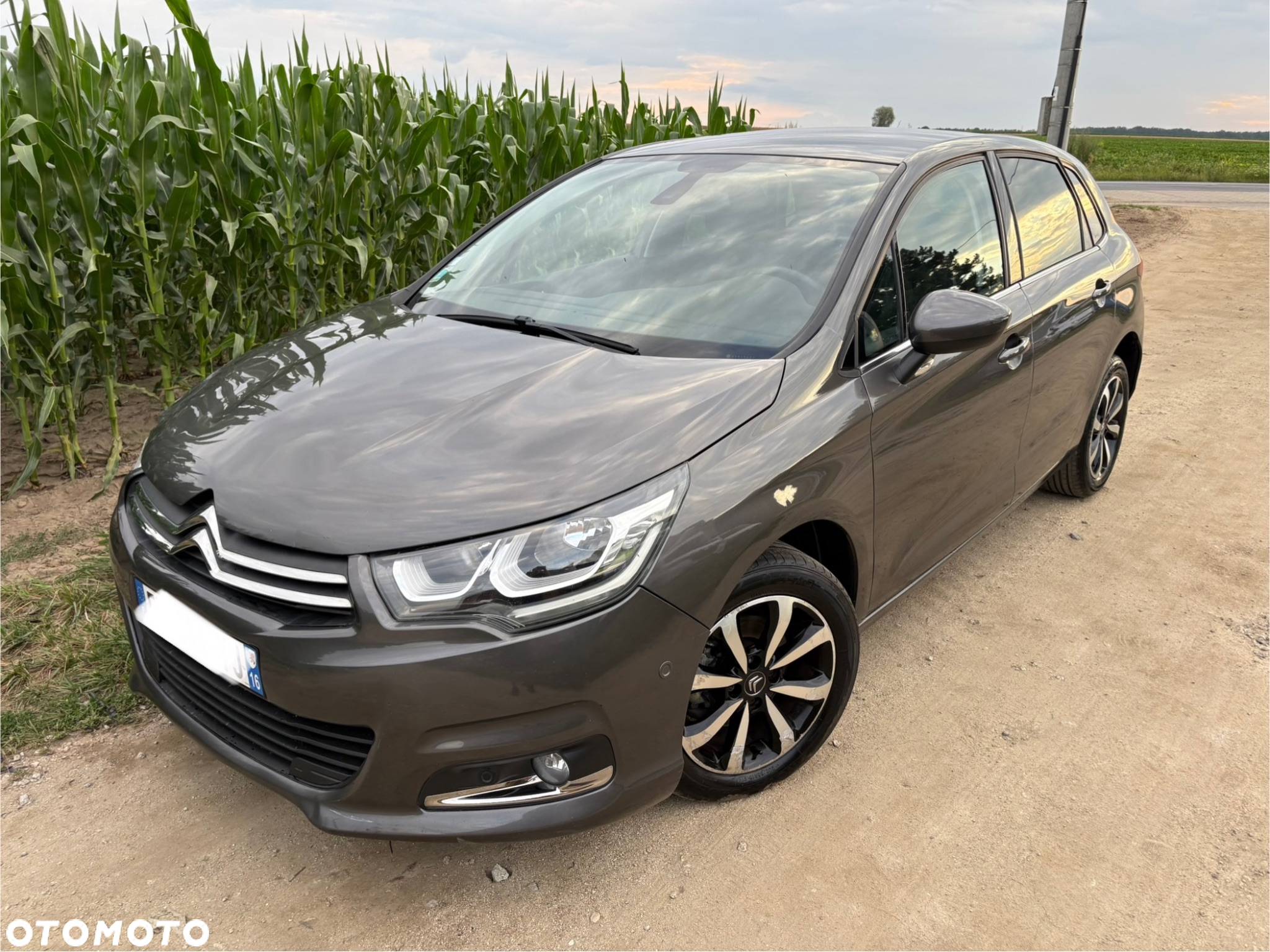 Citroën C4 BlueHDi 120 Stop&Start Shine - 2