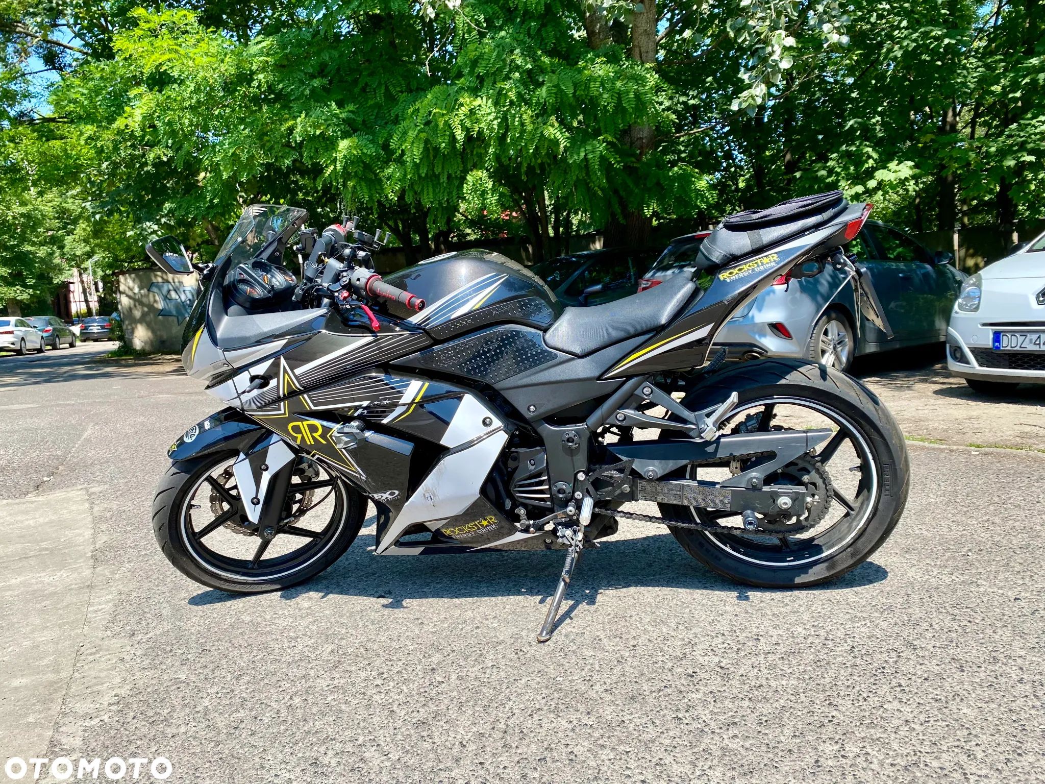 Kawasaki Ninja 250R - 1