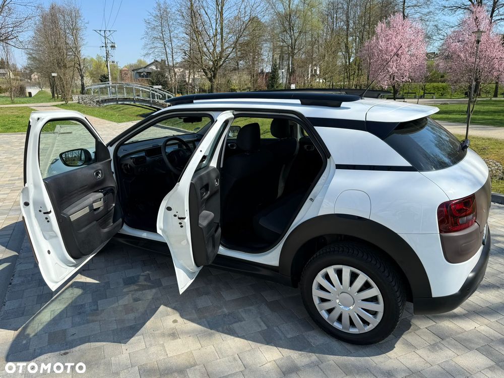 Citroën C4 Cactus PureTech 82 Shine Edition - 15