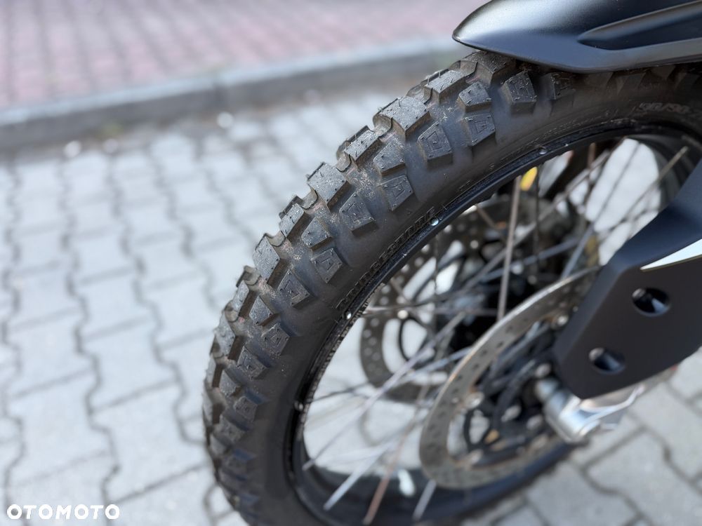 Triumph Tiger - 23