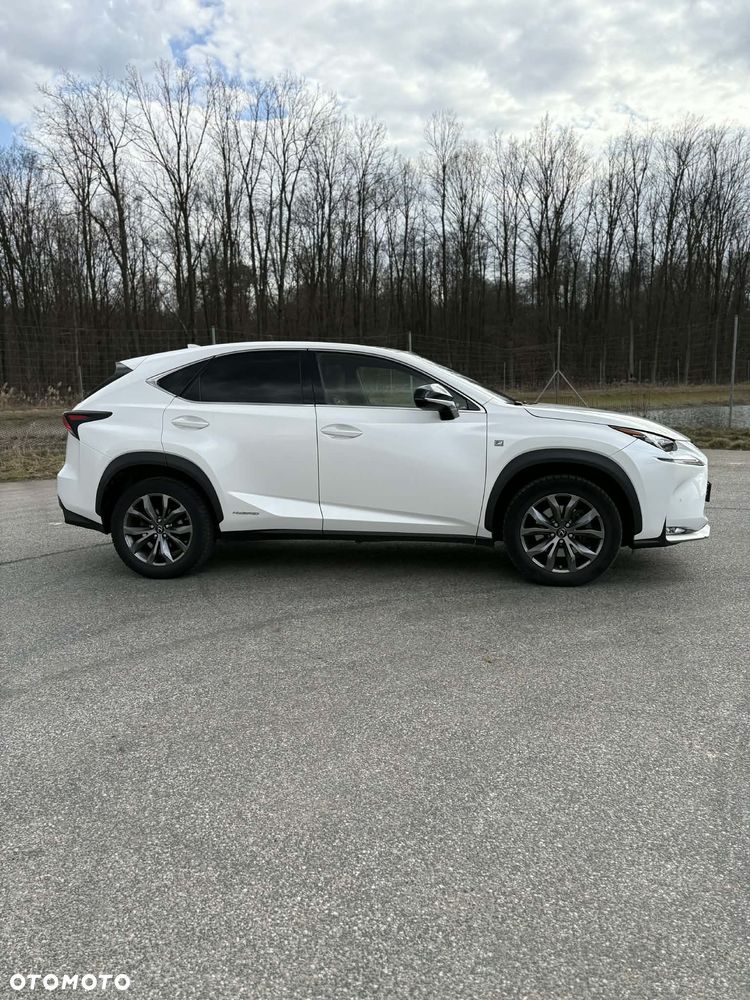 Lexus NX 300h F Sport AWD - 6
