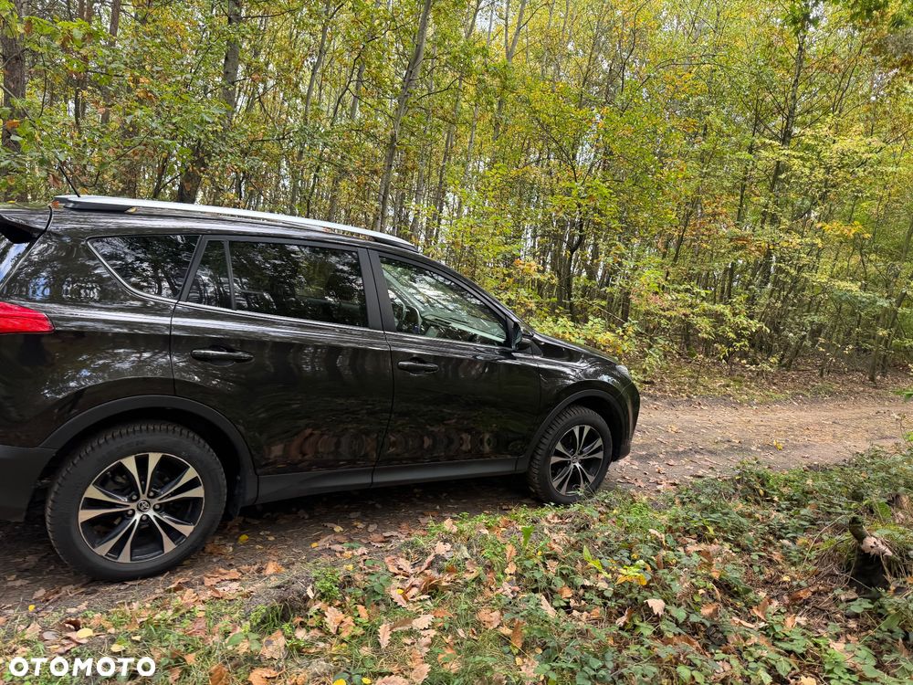 Toyota RAV4 - 12