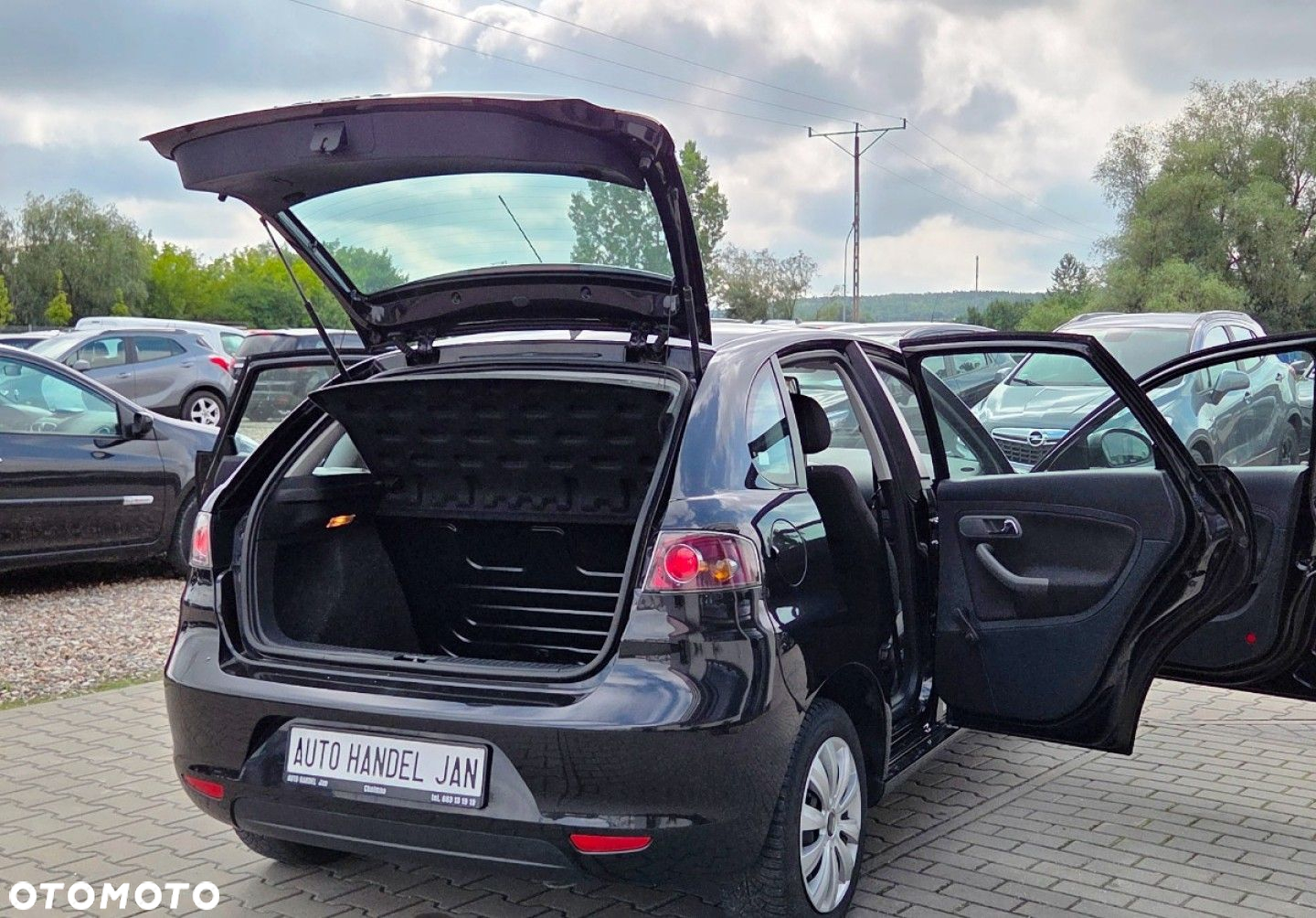 Seat Ibiza - 22