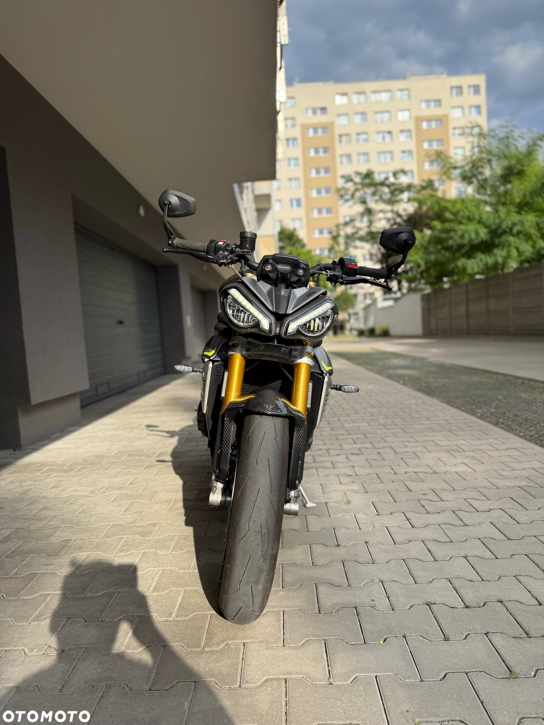 Triumph Speed Triple - 16
