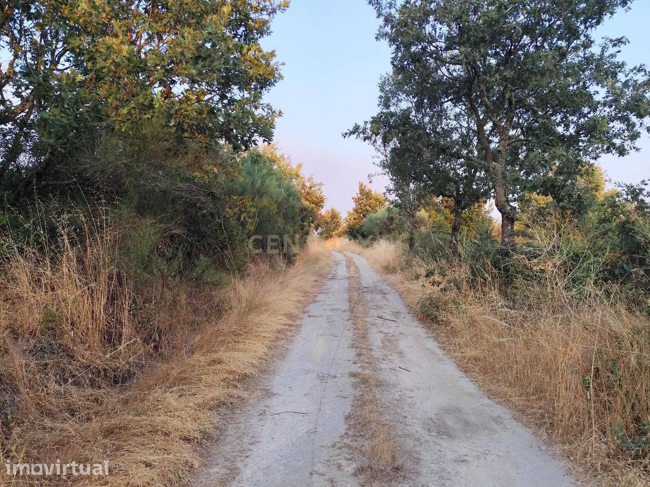 Propriedade Rústica com Cerca de 4,5 Hectares e Armazém | Chaves - Grande imagem: 3/26