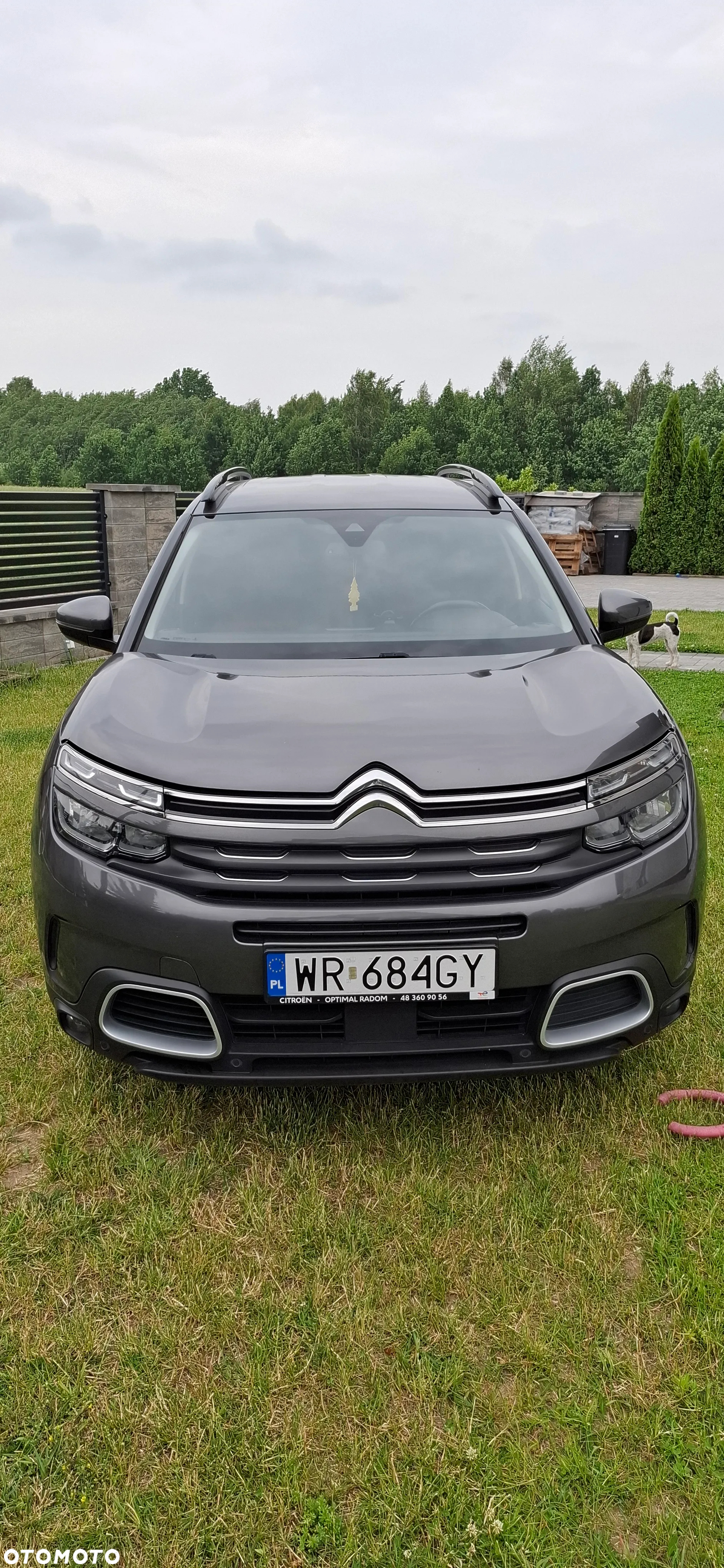 Citroën C5 Aircross BlueHDI 130 S&S EAT8 SHINE PACK - 2