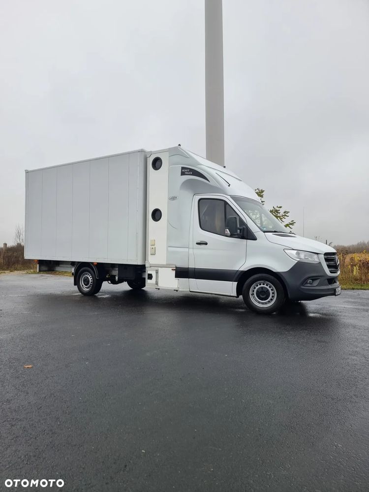 Mercedes-Benz 317 - 2