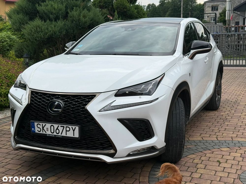 Lexus NX 300h F Sport Edition AWD - 2
