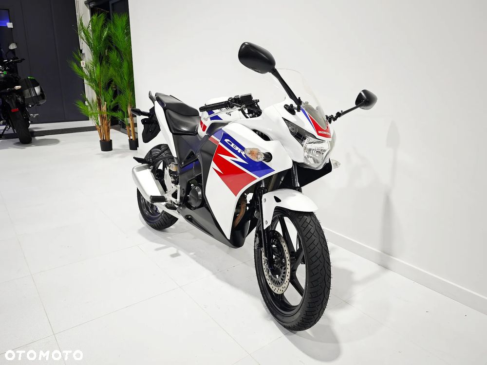 Honda CBR - 6