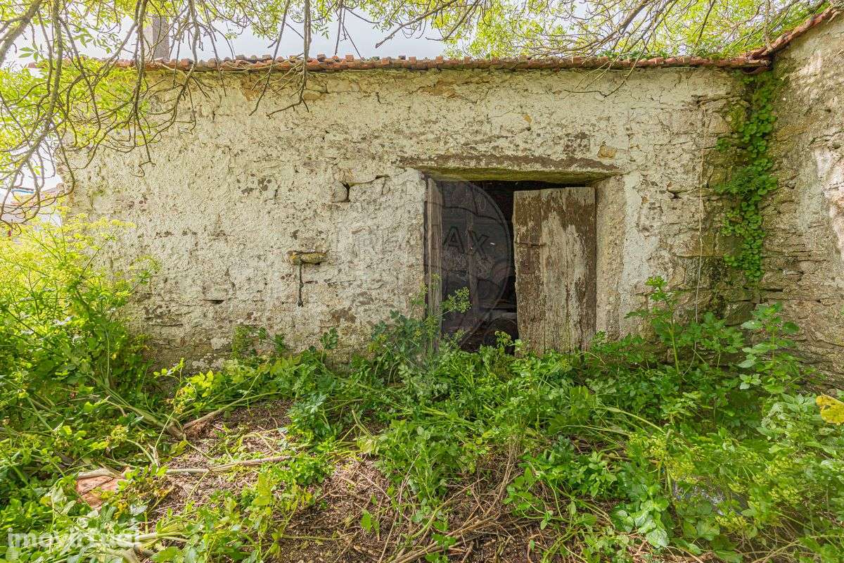 Armazém  para venda - Grande imagem: 3/17