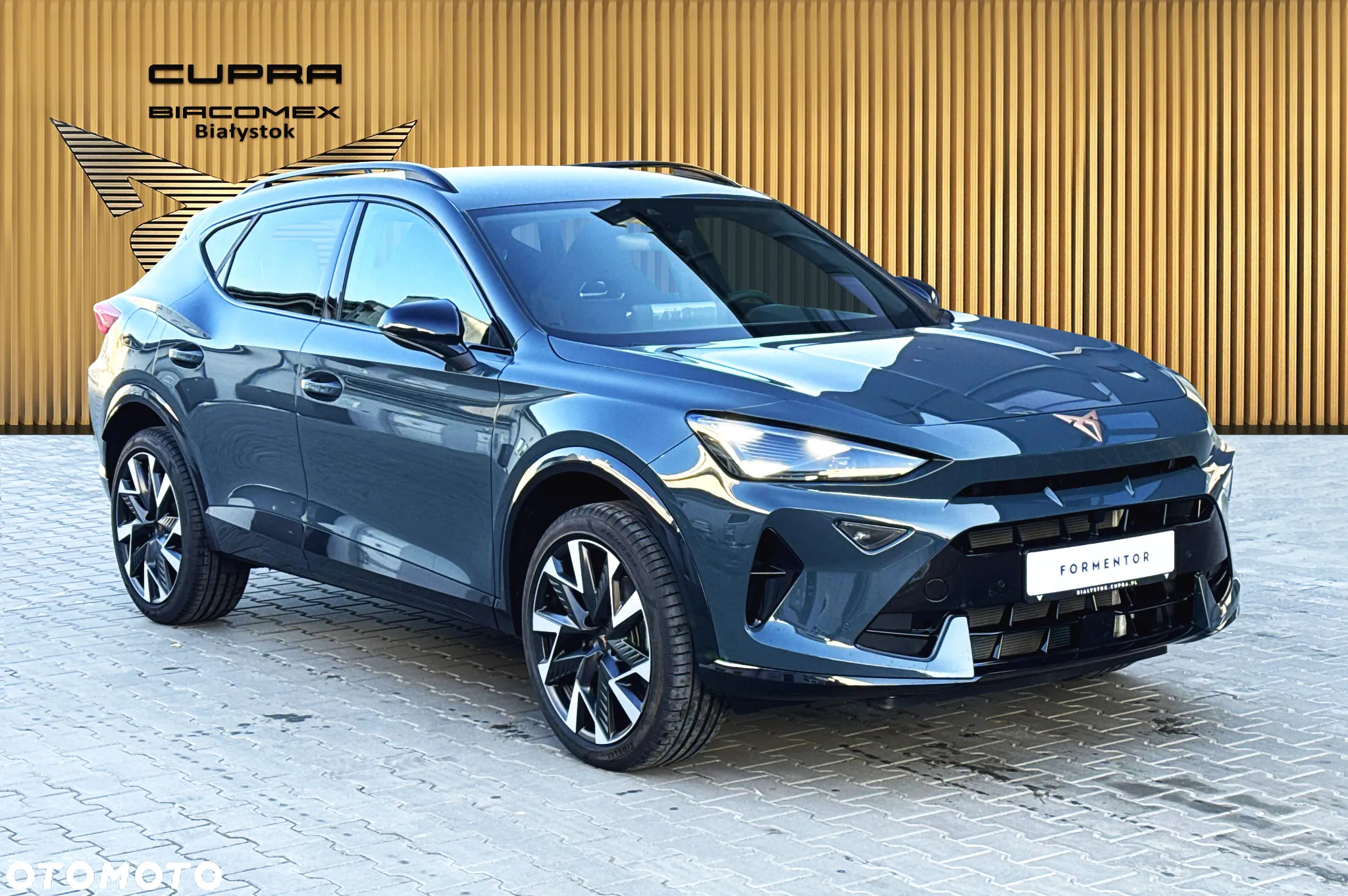 Cupra Formentor 1.5 TSI DSG - 8