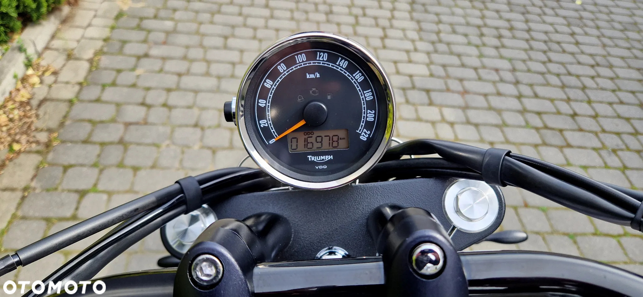 Triumph Speedmaster - 9