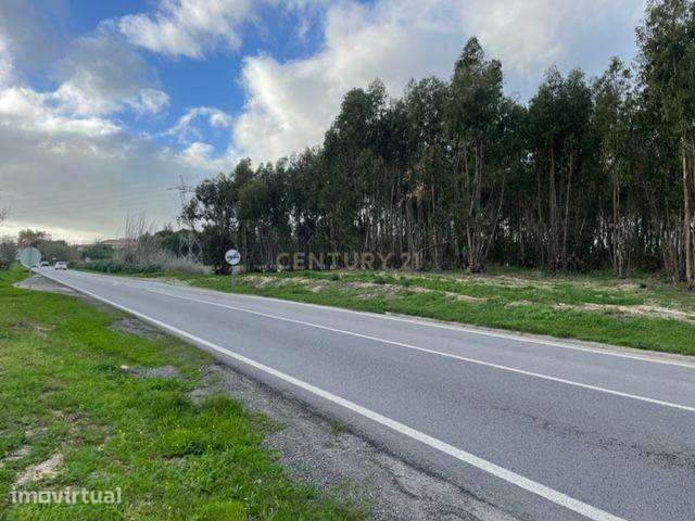 Terreno de 8520 m2 sito na Baixa da Atalaia - Alcochete - Grande imagem: 2/6