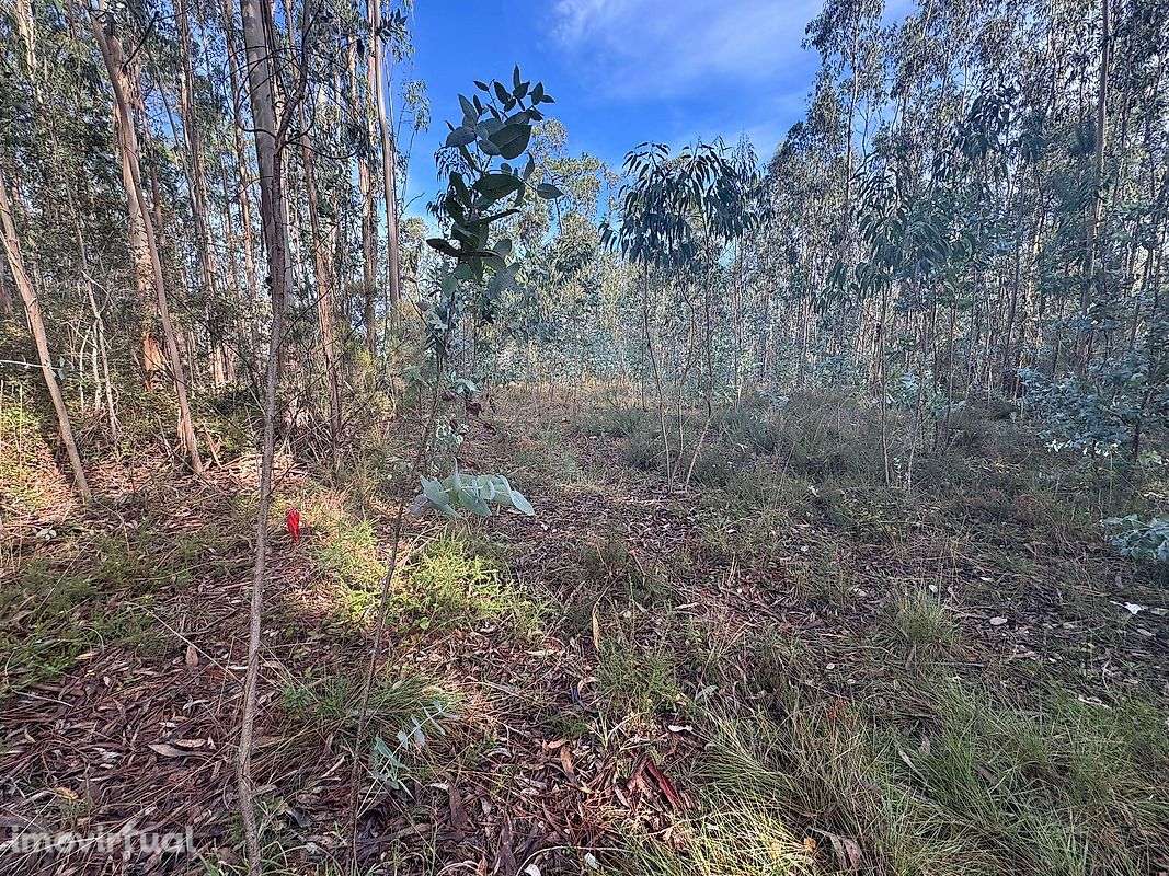 Terreno  para venda - Grande imagem: 3/5