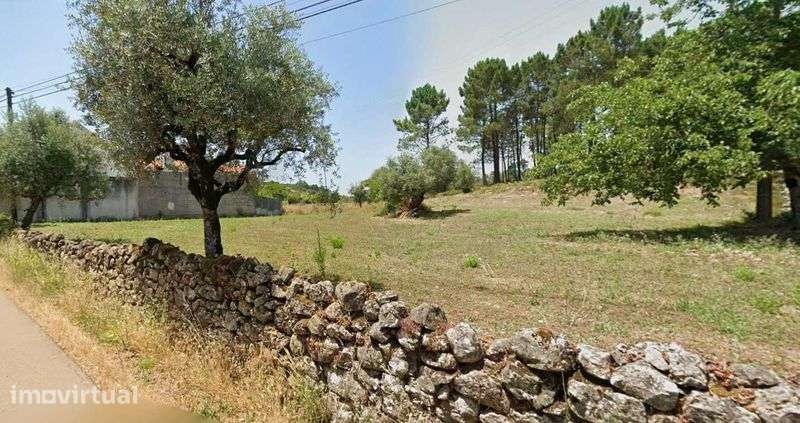 Vende-se Terreno com 6.000 m² em São Sebastião – Penela - Grande imagem: 2/4