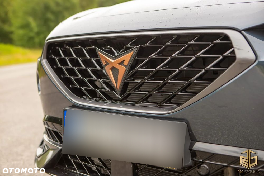 Cupra Formentor 2.0 TDI 4Drive DSG - 10