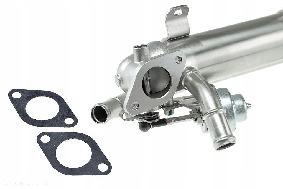 CHŁODNICA SPALIN EGR GOLF V 1.9TDi 2.0TDi 03- BSW BKD BMM BKC BLS BXE NOWA - 12