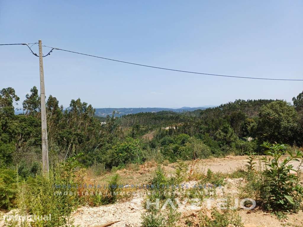 Casa antiga de pedra parcialmente renovada, T3, no caminho de pereg... - Grande imagem: 5/60