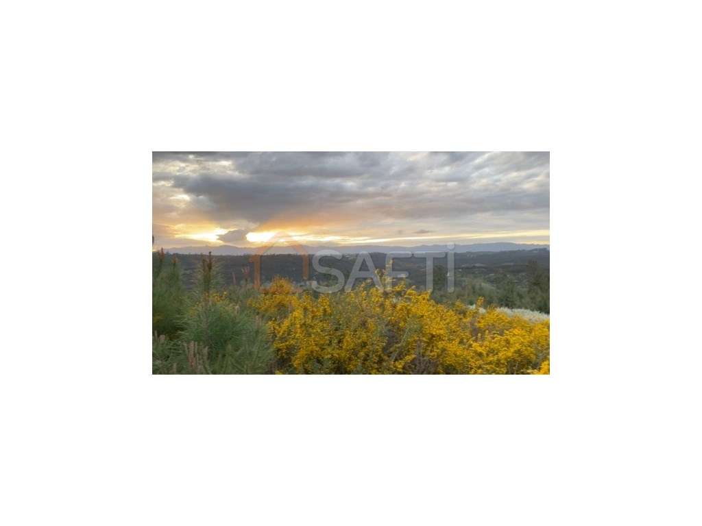 Vende Terreno na EM 624 2910 m2 45 000€ Lajeosa Tondela - Grande imagem: 4/12