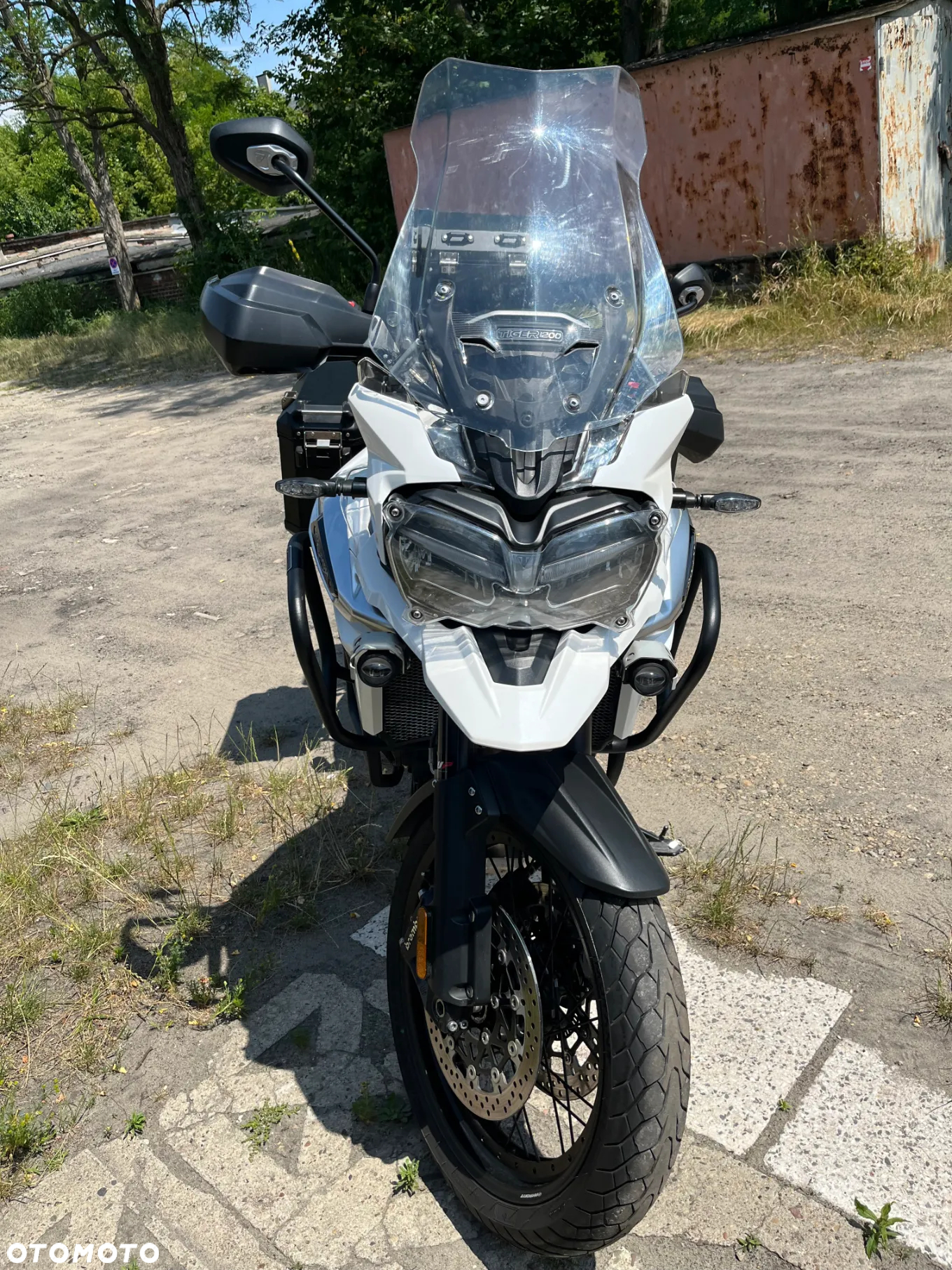 Triumph Tiger - 2