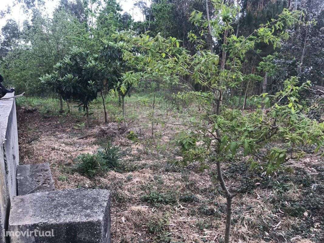 Terreno  para venda - Grande imagem: 5/29