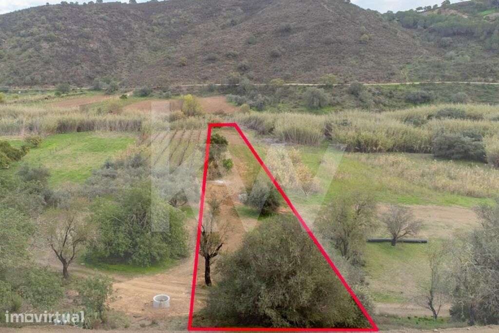 Terreno para agricultura | 920m2 | Margem da Ribeira | Odeleite - Grande imagem: 4/23