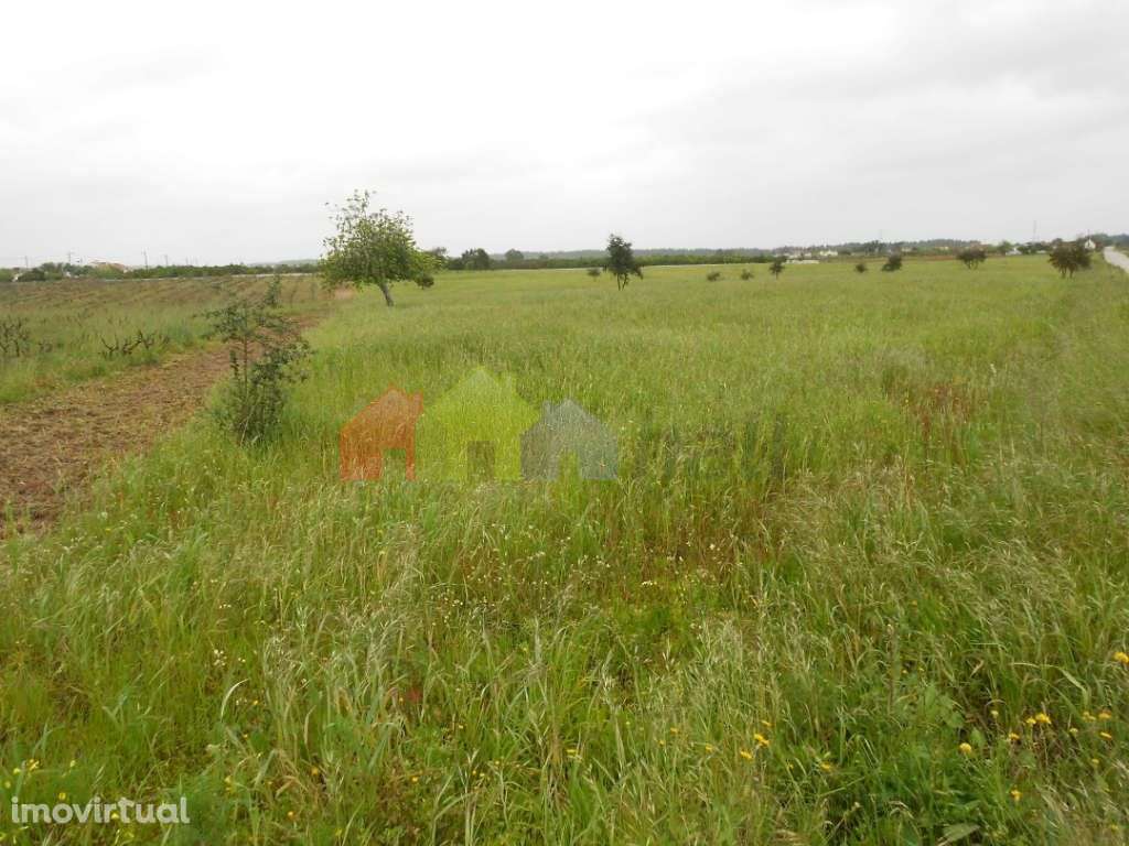 Terreno Urbano - Grande imagem: 2/8