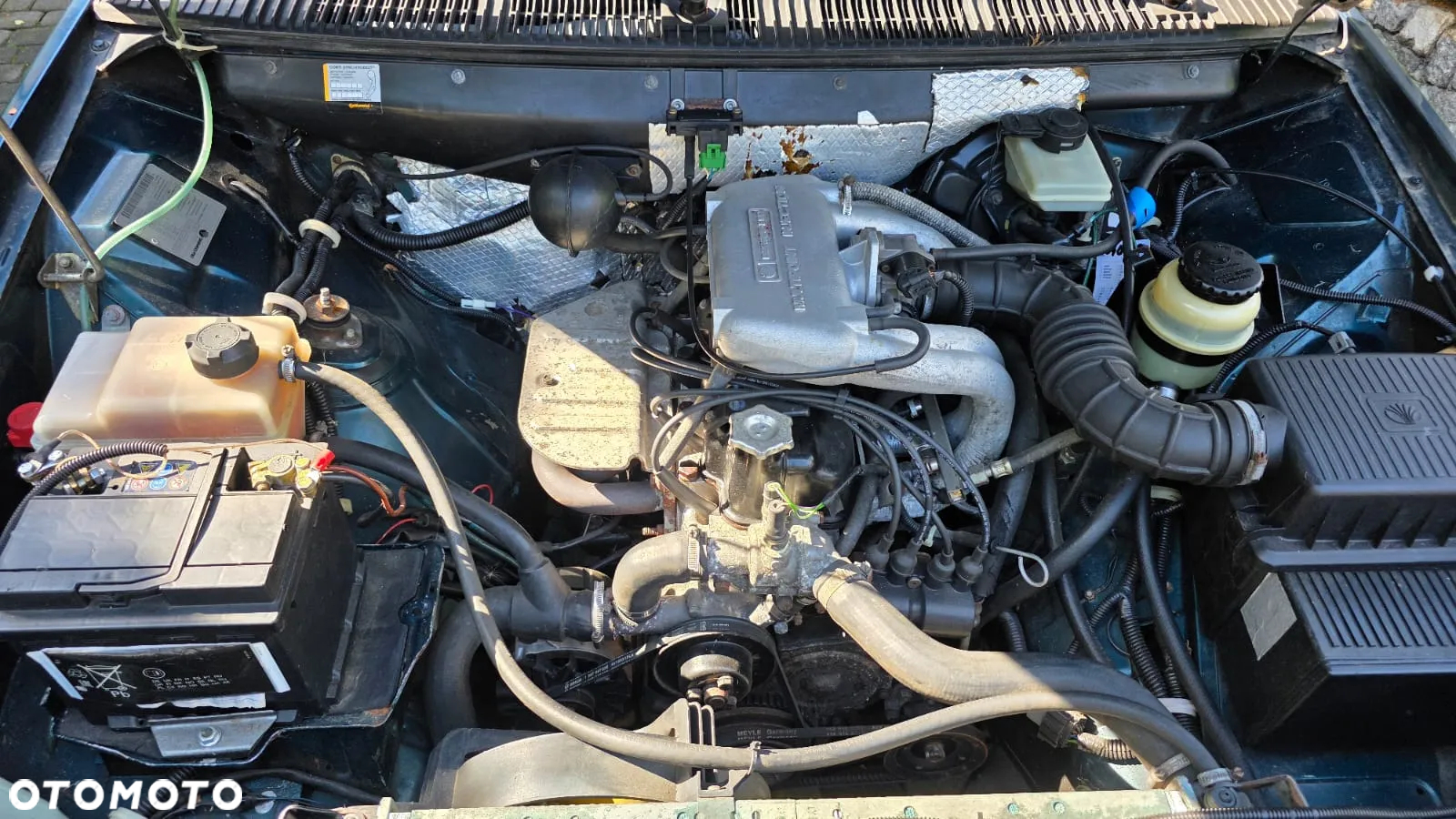 Polonez Caro - 5