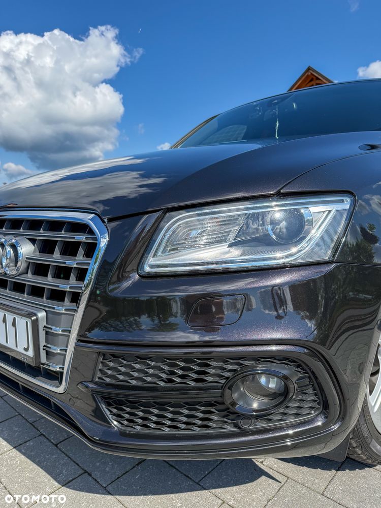 Audi SQ5 3.0 TDI Quattro Tiptronic EU6 - 14