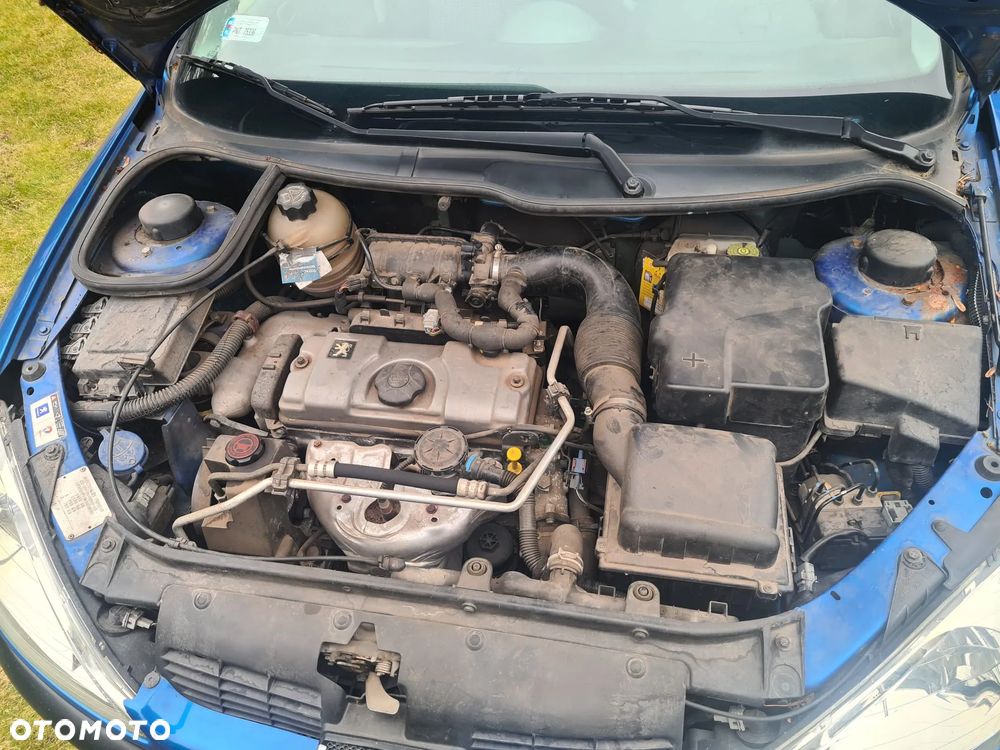 Peugeot 206 - 8