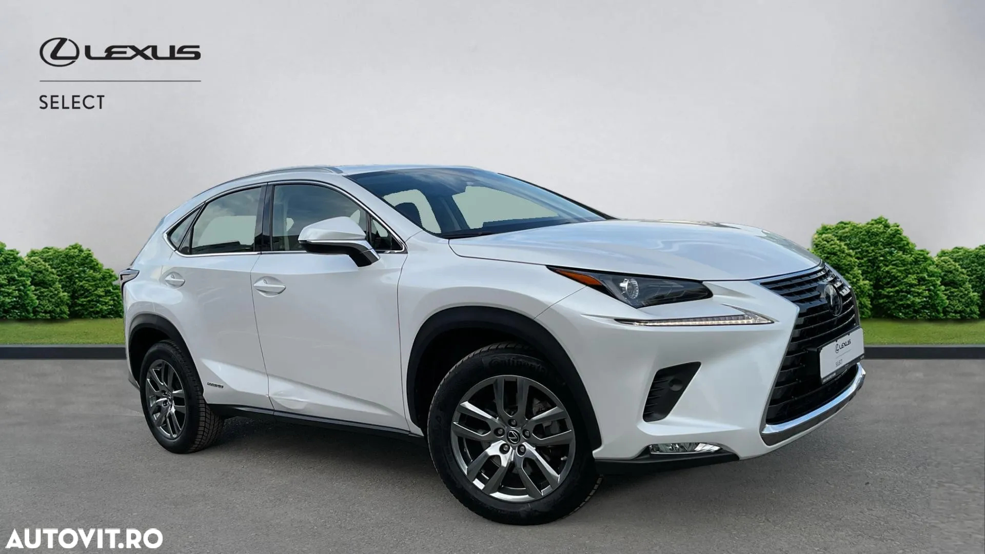 Lexus Seria NX 300h AWD Executive Plus - 20