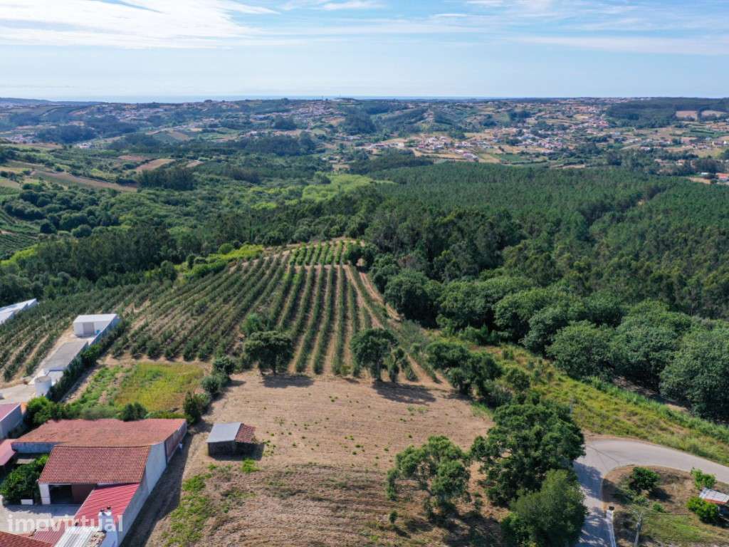 Terreno para construção no Vimeiro, Alcobaça - Grande imagem: 5/14