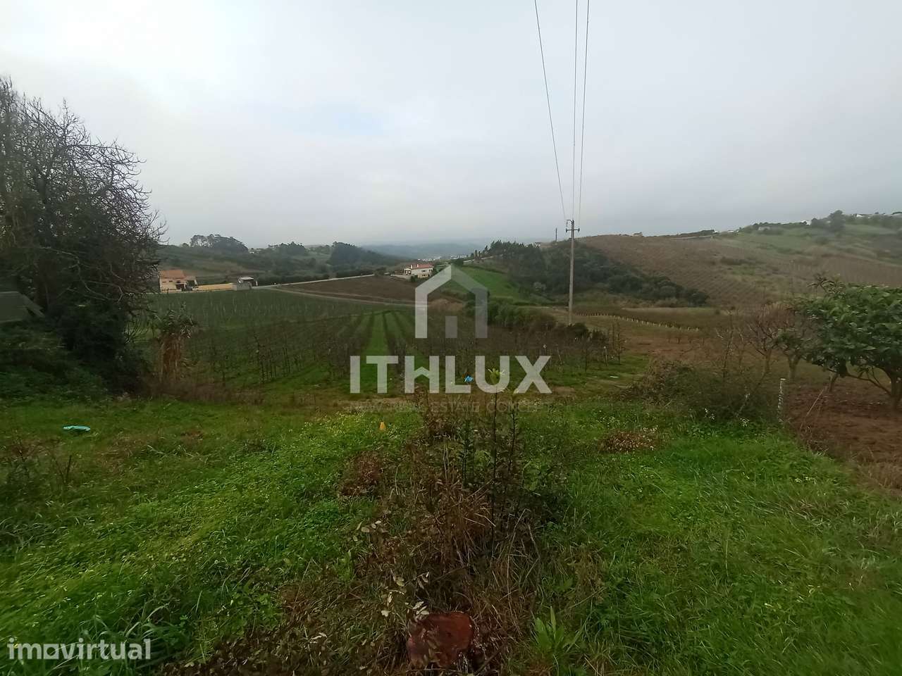 Terreno para construçao moradia com pomar - Grande imagem: 3/9