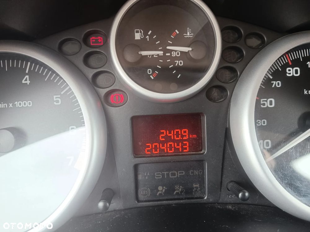 Peugeot 206 - 9