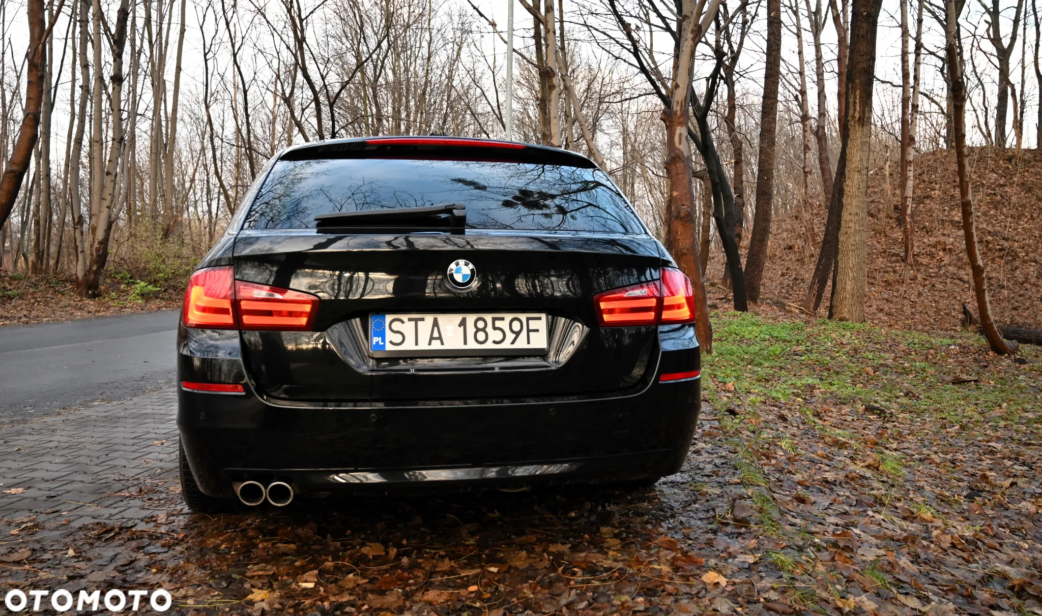 BMW Seria 5 - 10
