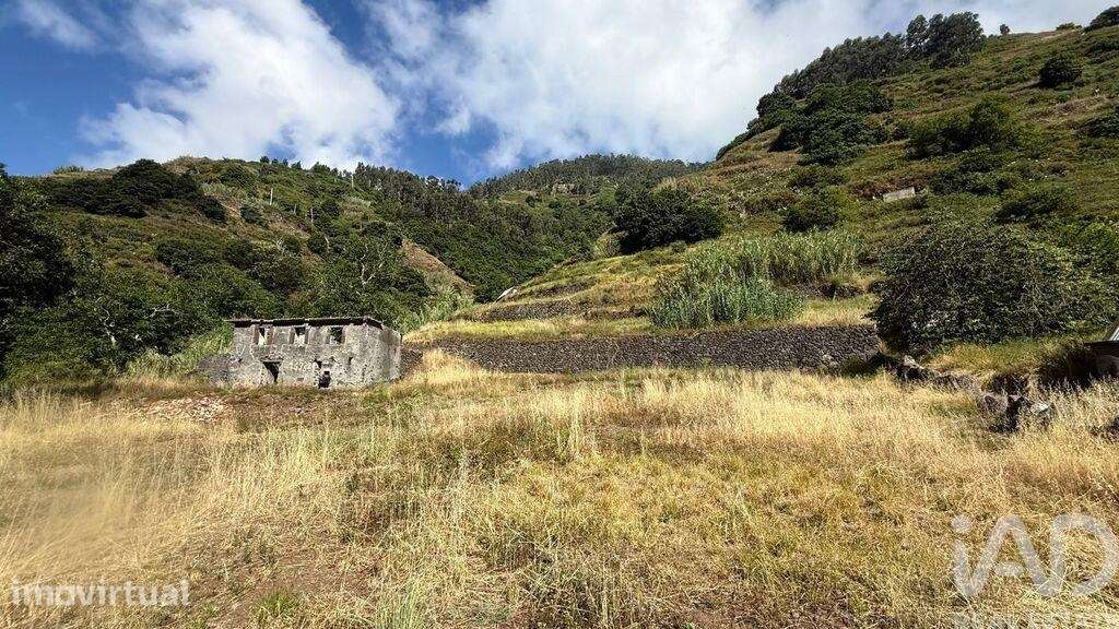 Terreno misto em Tabua - Grande imagem: 4/8