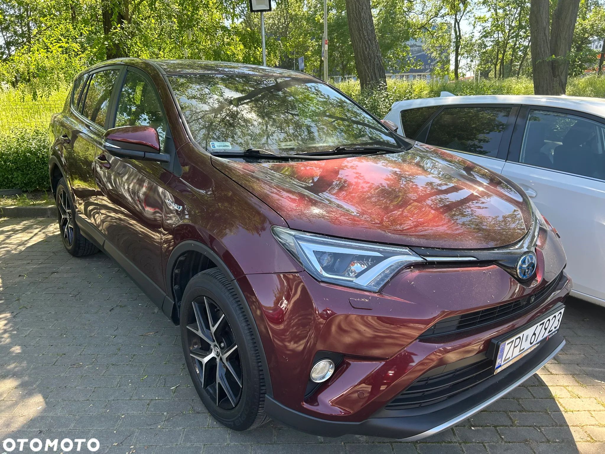 Toyota RAV4 Hybrid Prestige 4x4 - 1