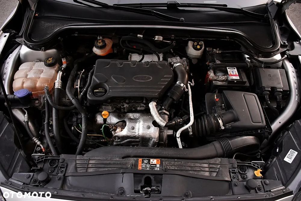 Ford Focus 1.5 EcoBlue Start-Stopp-System TITANIUM DESIGN - 31