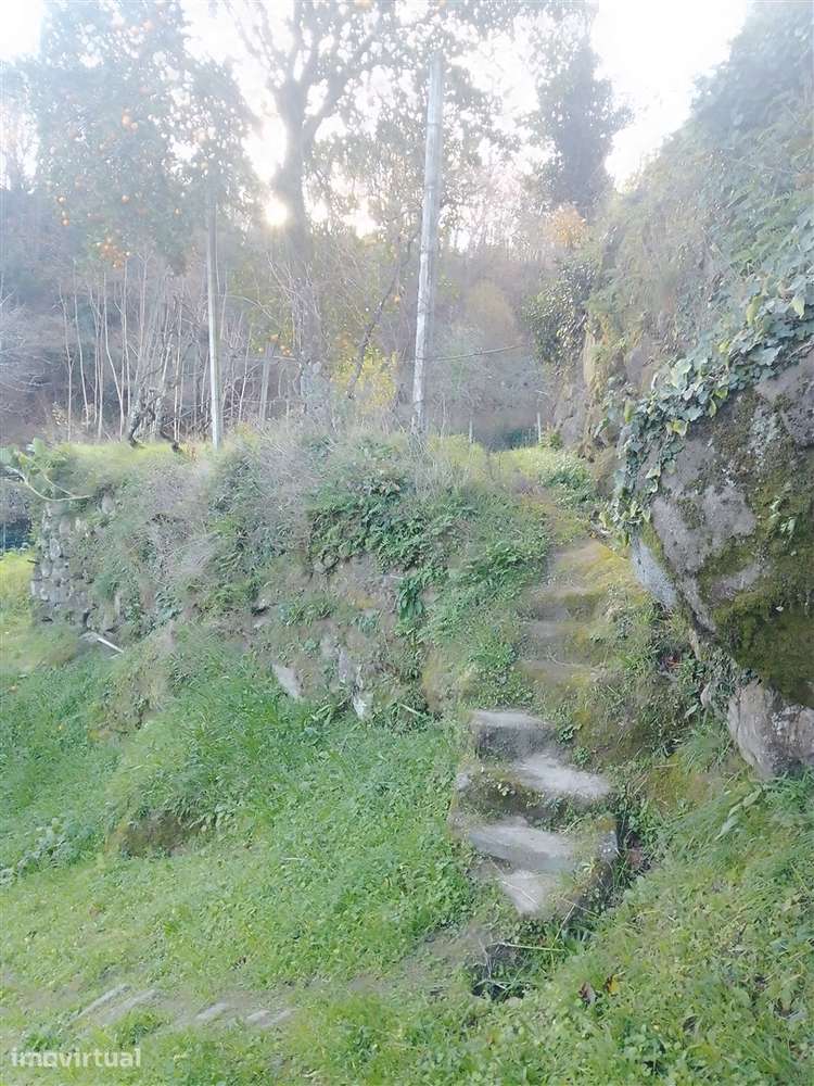 Terreno Rústico em Cinfães - Viseu Venda de Terreno em Cinfães - Viseu - Grande imagem: 5/28