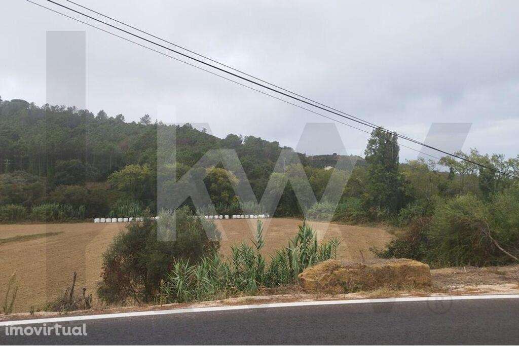 Terreno Agrícola com 7.125 m2 - Santo Isidoro - Ericeira - Grande imagem: 5/15