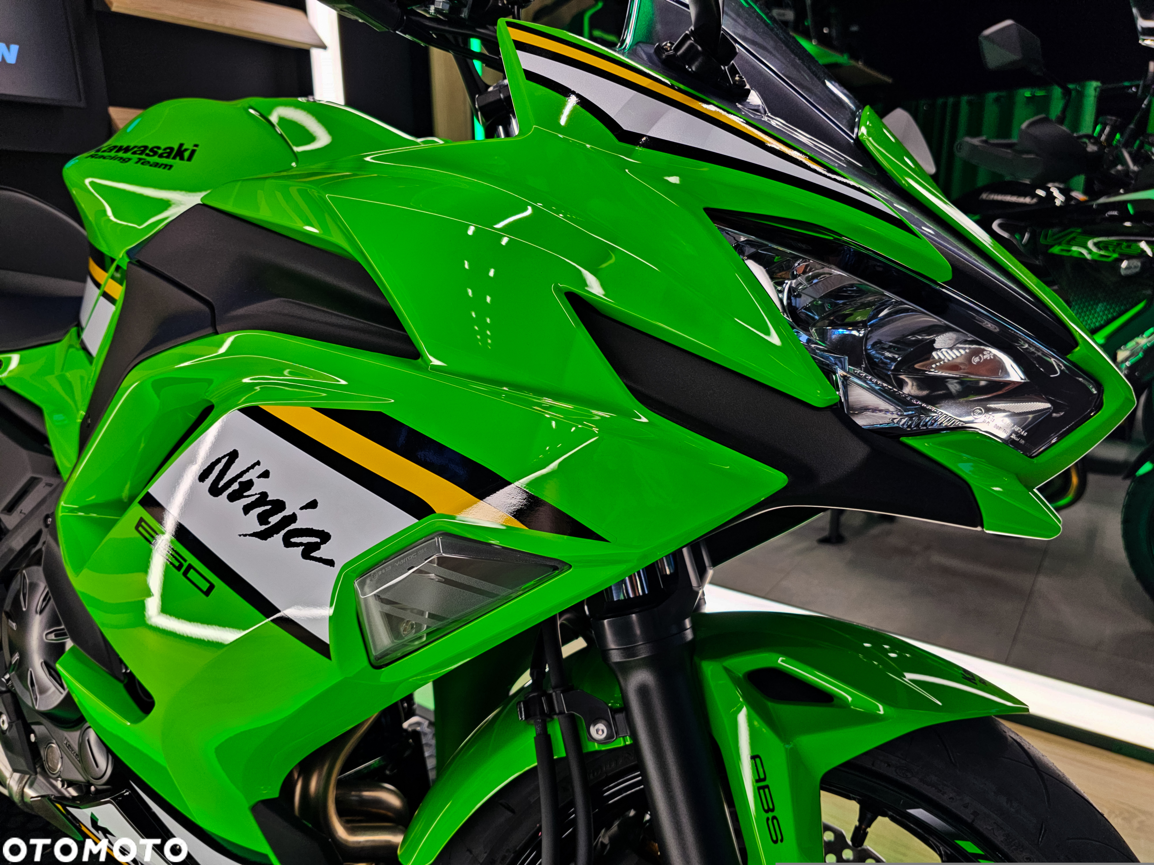 Kawasaki Ninja - 5