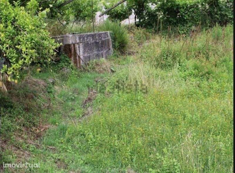 Pequena quinta com 2900m2 - Grande imagem: 2/5