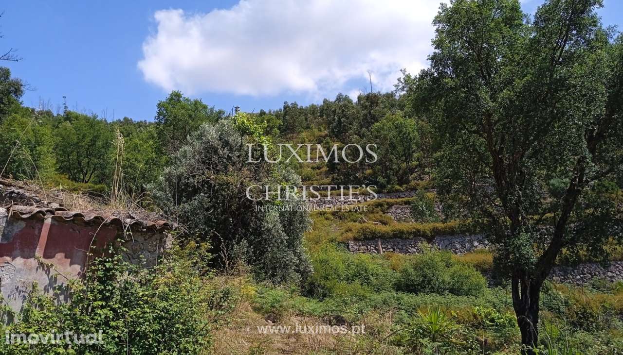Terreno com ruína, para venda, em Monchique, Algarve - Grande imagem: 2/17