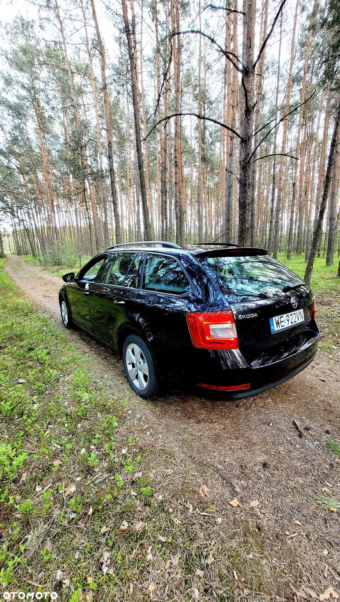 Skoda Octavia - 5